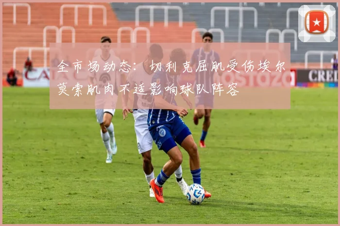 全市场动态：切利克屈肌受伤埃尔莫索肌肉不适影响球队阵容